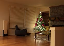 Christmas Tree at home during evening
