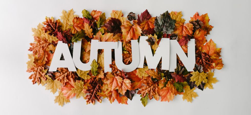 “AUTUMN” in light paper surrounded with fall leaves