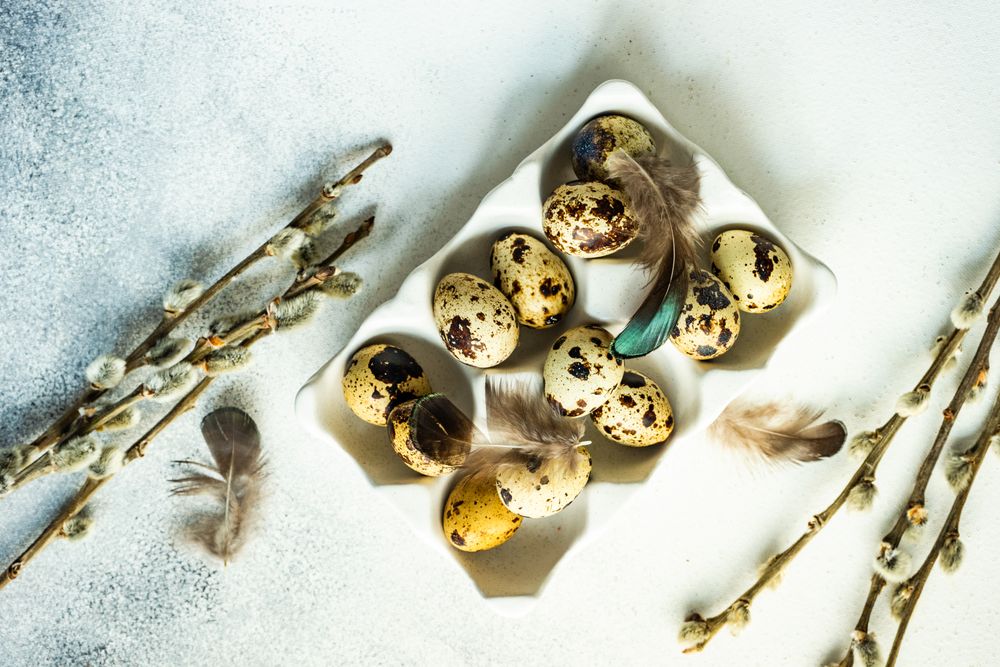 Easter card concept with carton full of small speckled eggs with pussy willow branches