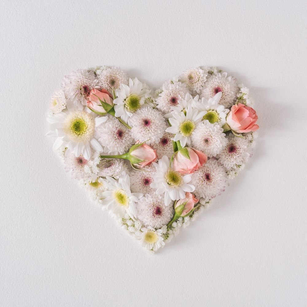 Wild daisy flowers in heart shape light  background
