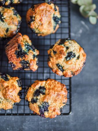Homemade blueberry muffins on cooling rack over dark background.