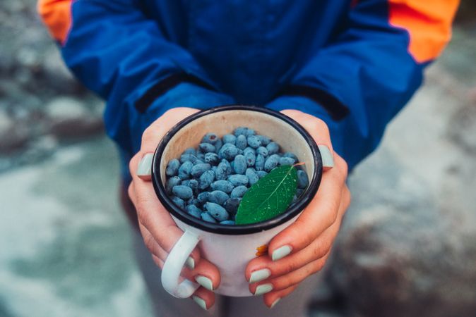 Person holding a cup of berries