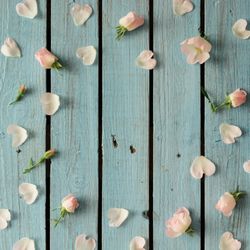 Flowers and petals on wooden background