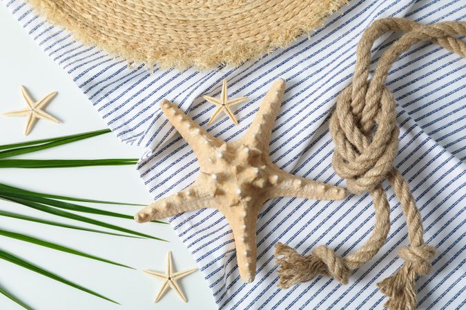 Tablecloth, straw hat, starfishes, sea rope and palm leaves on plain background, top view and closeup. Summer vacation