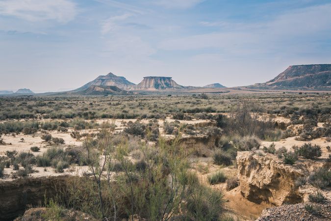 Desert stony landscape with dry green vegetation