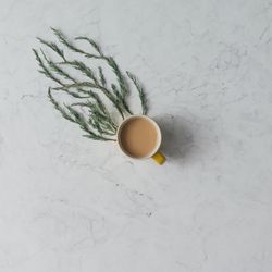 Winter foliage trailing tea cup