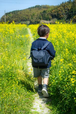 Back view of boy in school uniform walking in green grass