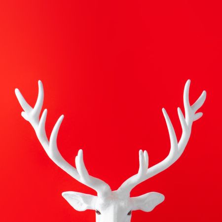 Reindeer antlers against red background