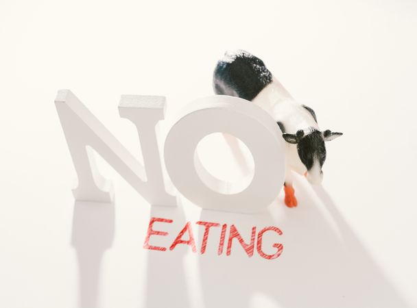 Concept of calling to stop eating animals