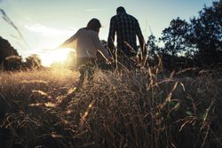 Loving couple walking in golden rural field