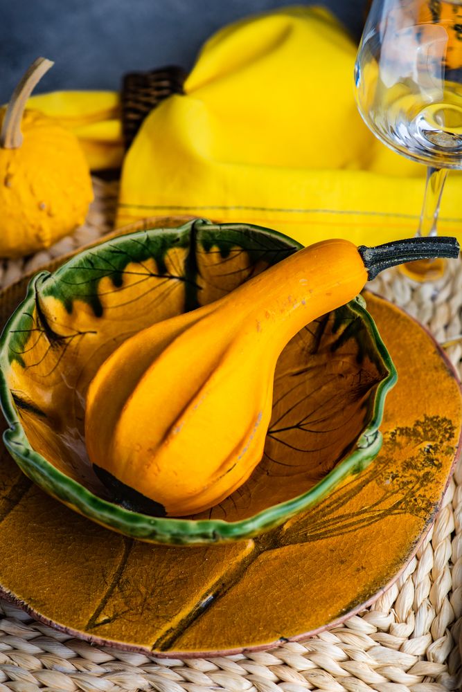 Orange fall squash in orange bowl