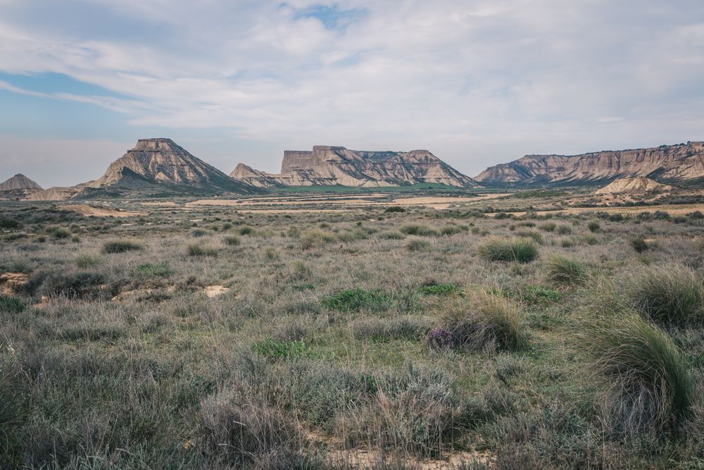 Desert hilly landscape with dry green vegetation