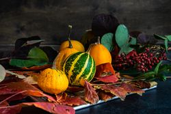 Side view of autumn gourds on trey with leaves