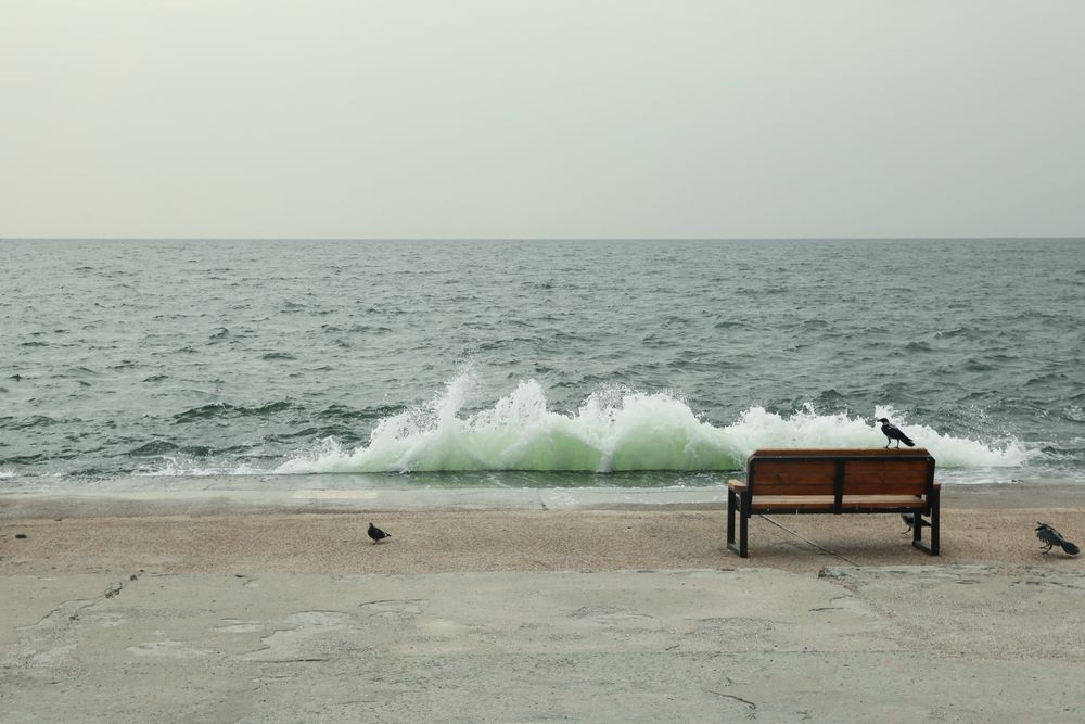 Stormy sea, embankment, bench and crows, space for text