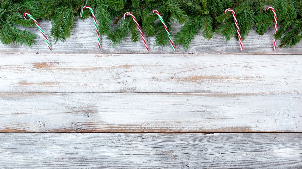Christmas evergreen branches and candy canes on vintage wooden planks