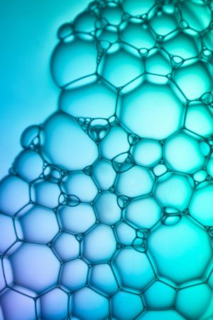 Abstract background bio technology, macro photography foam and water with gradient background. Molecule multicolor backgorund