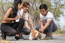 Joggers in a park stopping to pet a dog