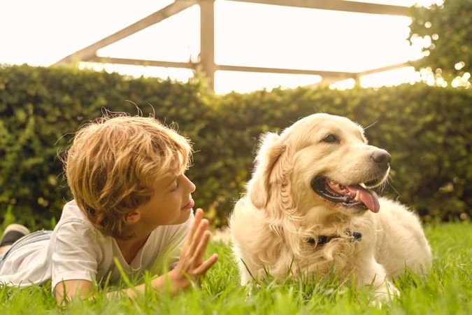 Boy lying on grass with dog in park