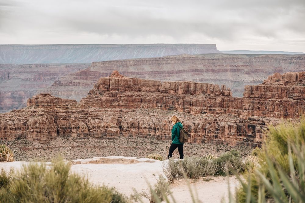Calm female looking at pictorial landscape