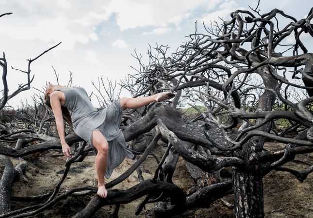 Woman posing on twigs of dry trees