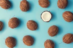 Coconut fruit pattern on a pastel blue background