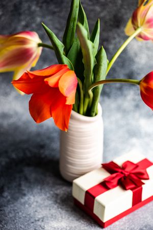 Tulip flowers in vase on concrete background with giftbox