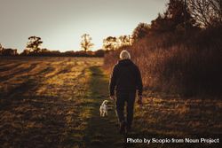 Back view of an older man walking with a dog in the woods at sunset 43rox5