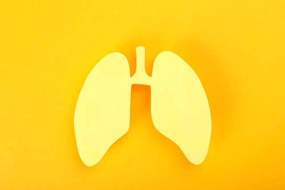 Yellow background with lungs
