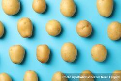 Row of potatoes on blue background 48yvRb