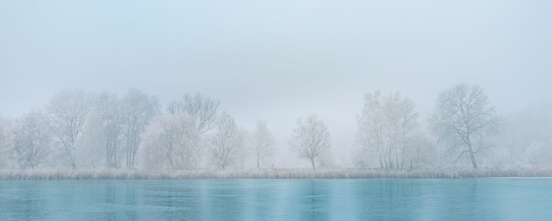 Trees surrounding a lake, wide