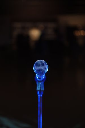 Microphone from the Singer's Perspective