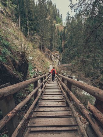 Woman admiring picturesque view of Alps
