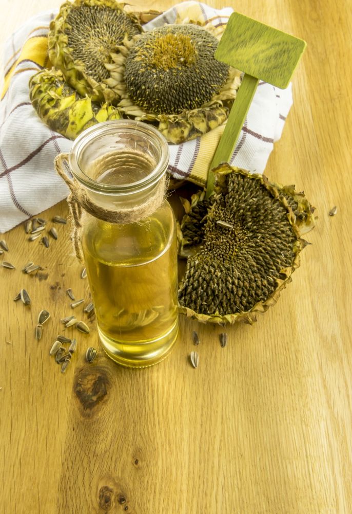 Sunflower plants and a bottle with oil