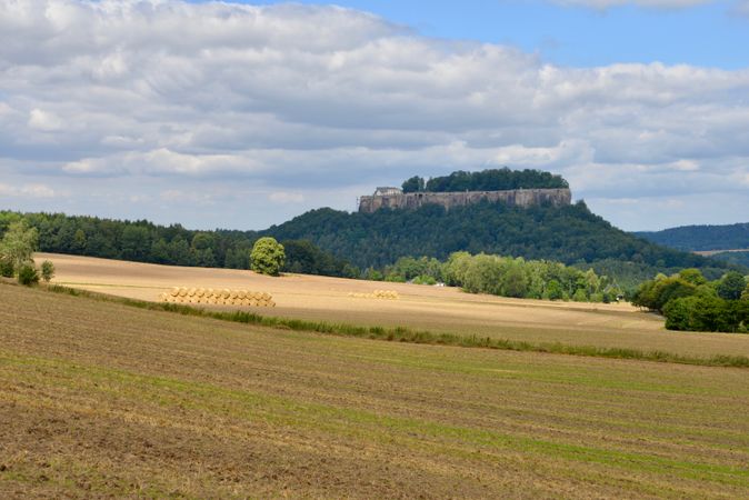 Laser Cut Tree - Königstein Fortress in Saxony