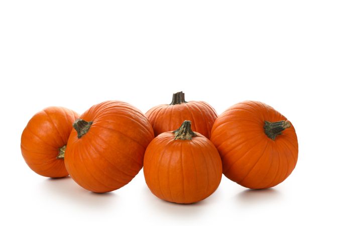 Group of pumpkins isolated on plain background