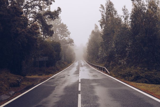 Empty road through woodland in overcast day