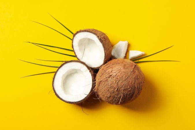 Coconut and palm branch on yellow background, top view