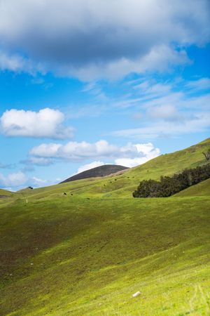 blue sky and green hills