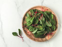 Fresh salad of green chard leaves or mangold