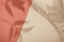 Top view of tropical leaf shadow on orange and sand color background