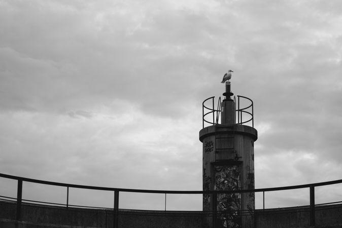 Bird on top of lighthouse