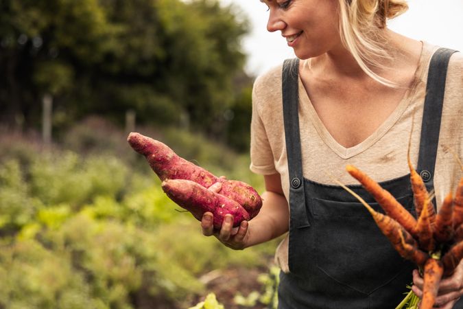 Cheerful blonde vegetable farmer holding freshly picked sweet potatoes and carrots on her farm