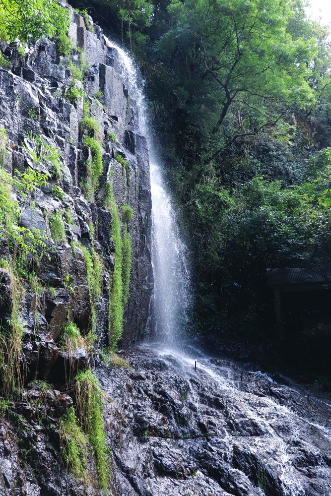 Waterfall is in summer day. Small waterfall.