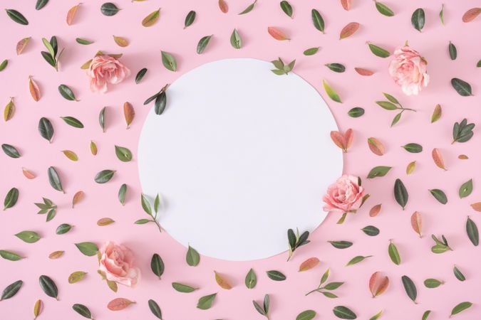 Pink flowers and green leaves with light  paper circle on pink background