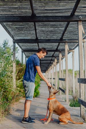Happy adult man playing with dog at countryside