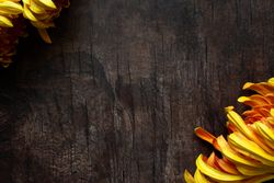 Autumn theme background with florals