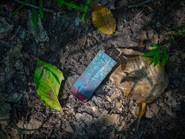A spent buckshot cartridge found on a forest trail