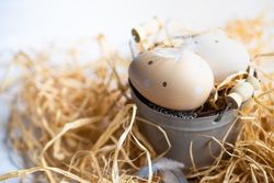 Easter eggs on mini bucket surrounded with hay
