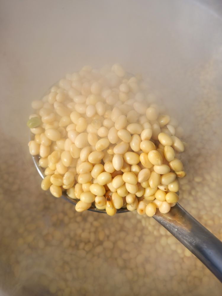 Boiling Yellow Soybeans in a Traditional Pot