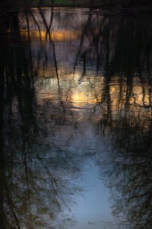 Ripples of water with reflections of trees, vertical